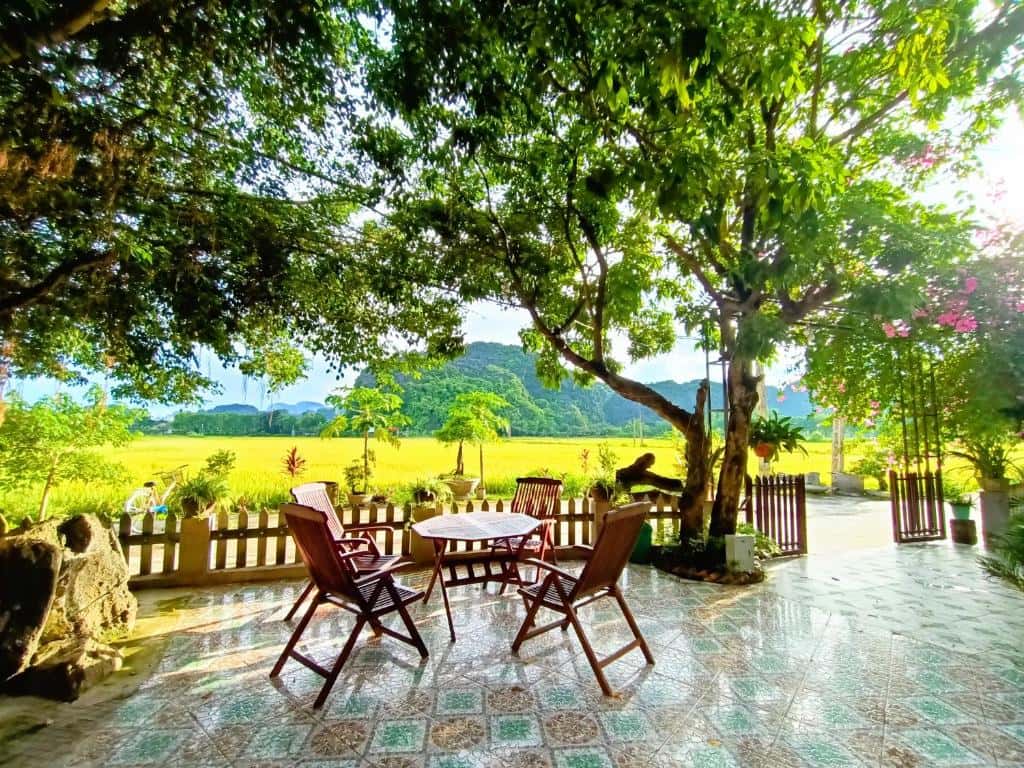 phong double view vuon tam coc sunshine ninh binh