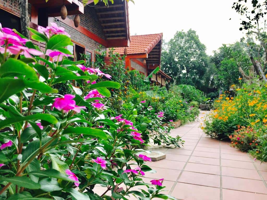 justfly tam coc friendly homestay ninh binh