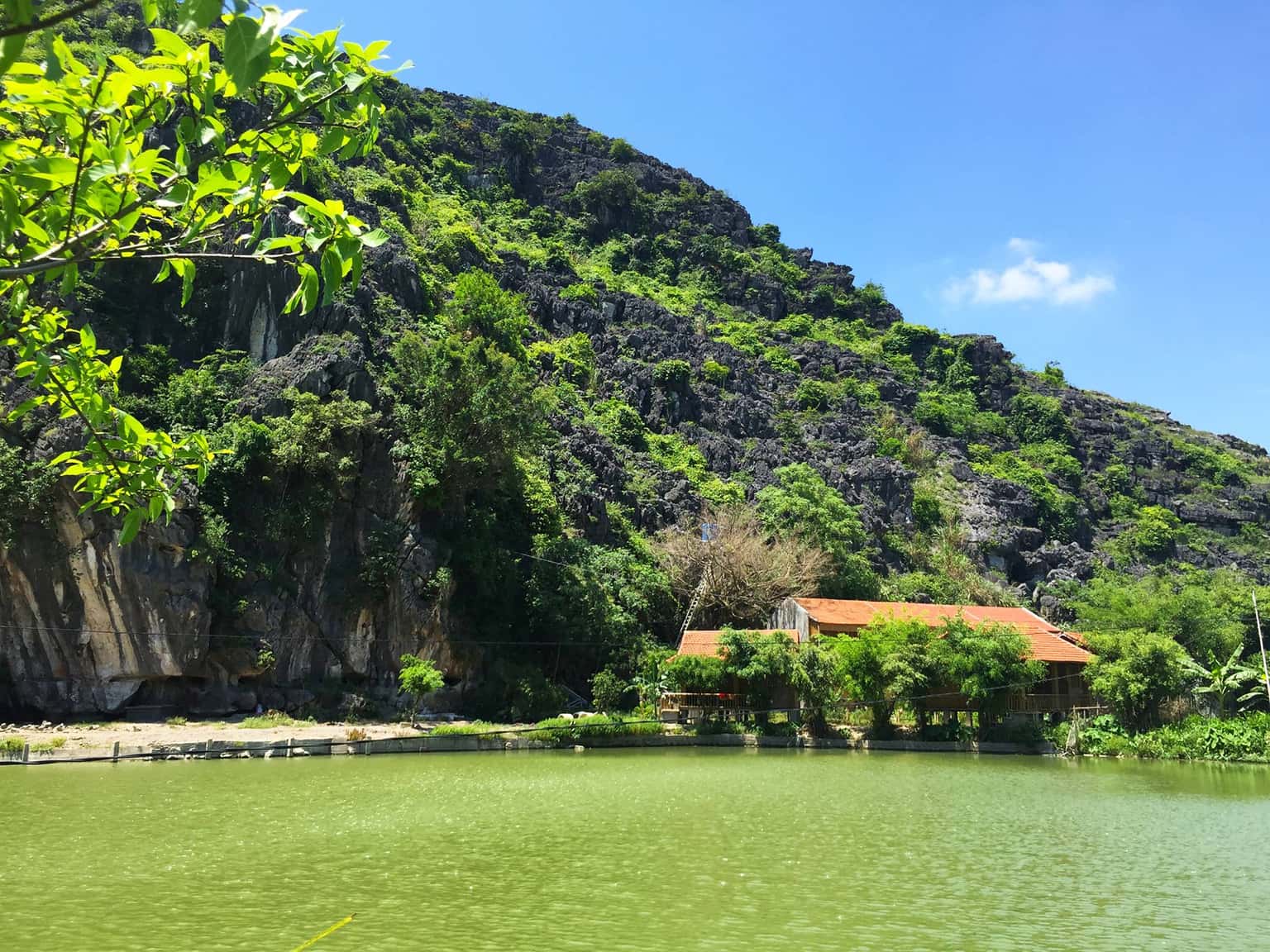 justfly ham rong homestay ninh binh