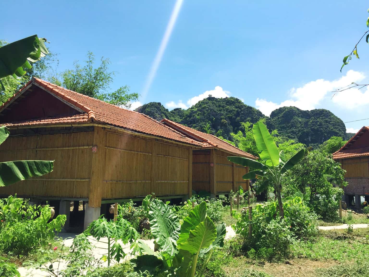 justfly ham rong homestay ninh binh