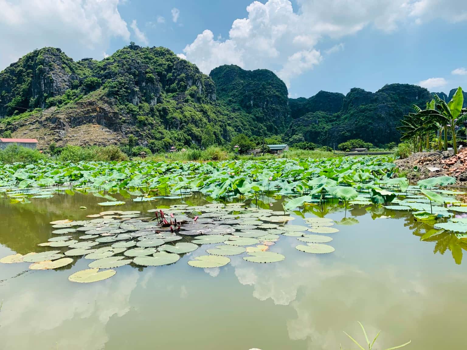 justfly twin room ham rong homestay ninh binh  