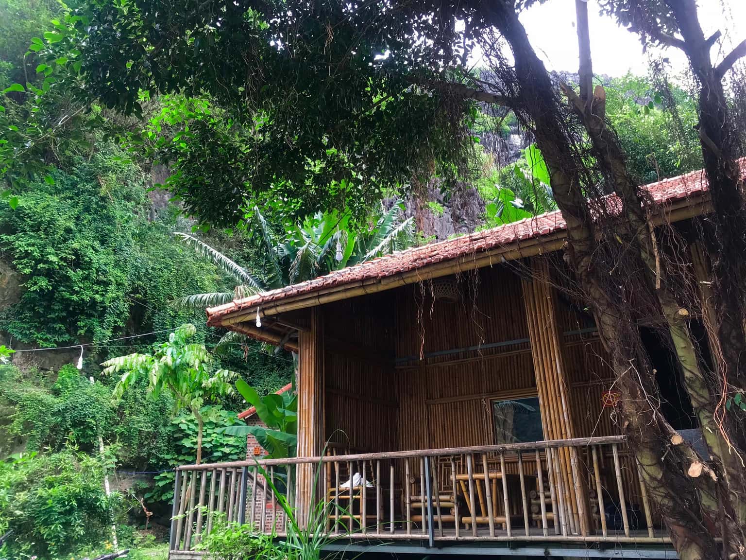 justfly water front bungalow ham rong homestay ninh binh 