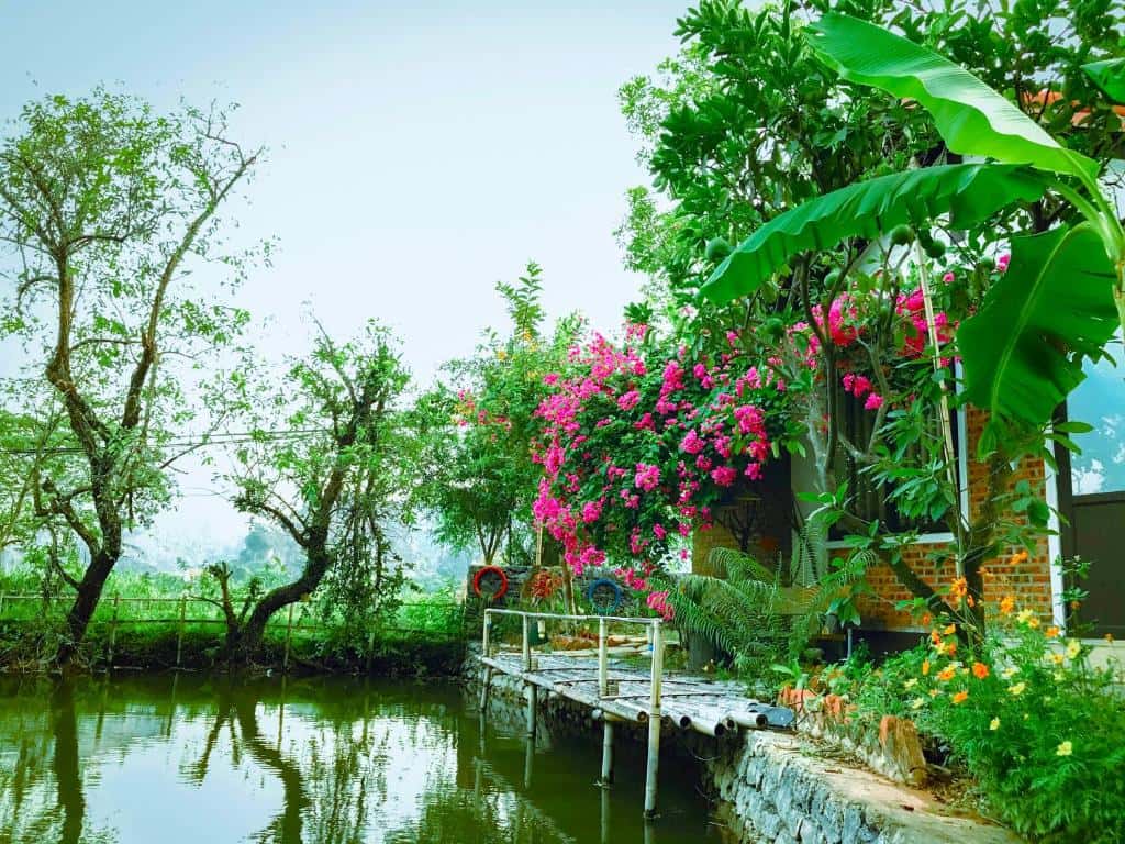  justfly hang mua family homestay ninh binh
