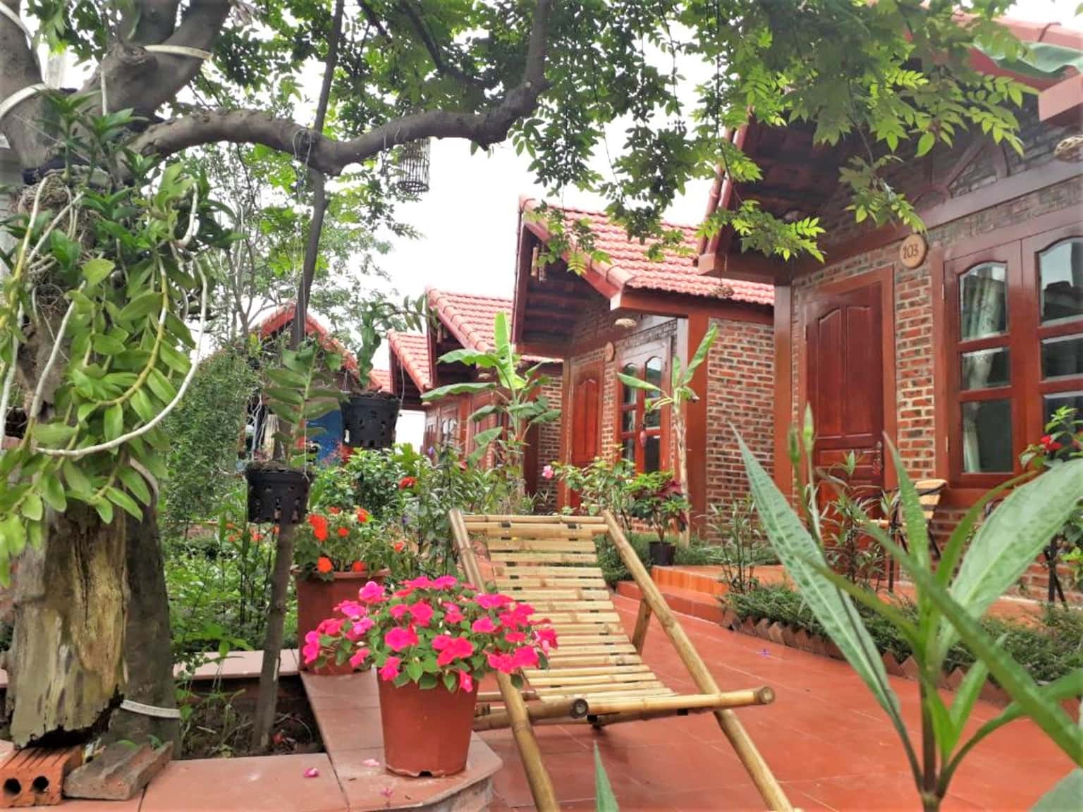 justfly tam coc rice fields homestay ninh binh