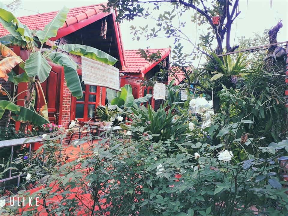 justfly tam coc rice fields homestay ninh binh