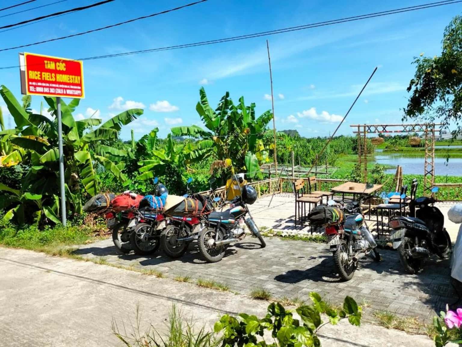 justfly tam coc rice fields homestay ninh binh