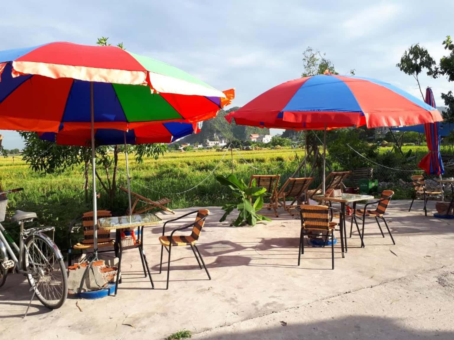 justfly phong queen tam coc rice fields homestay ninh binh