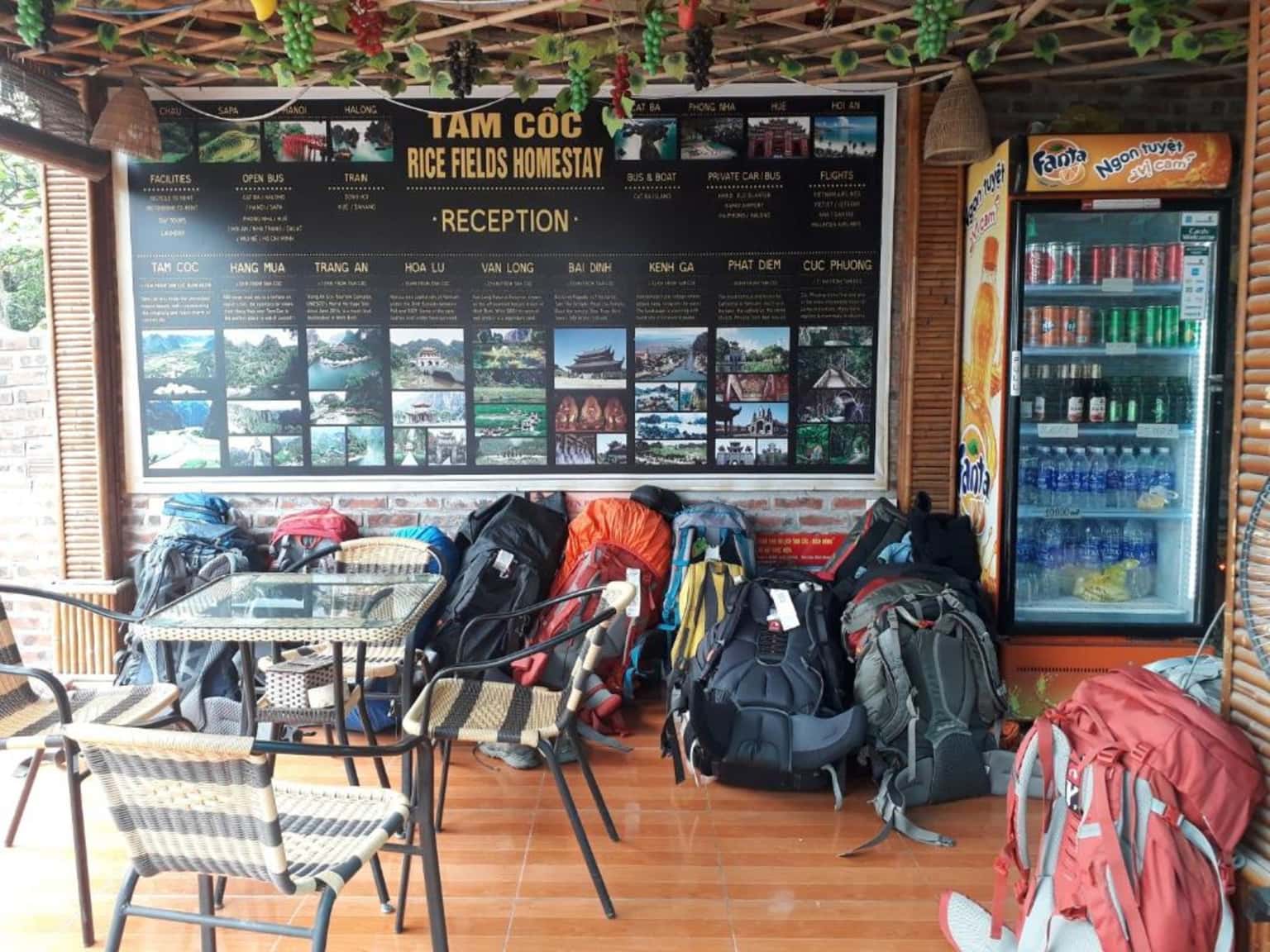 justfly phong queen tam coc rice fields homestay ninh binh