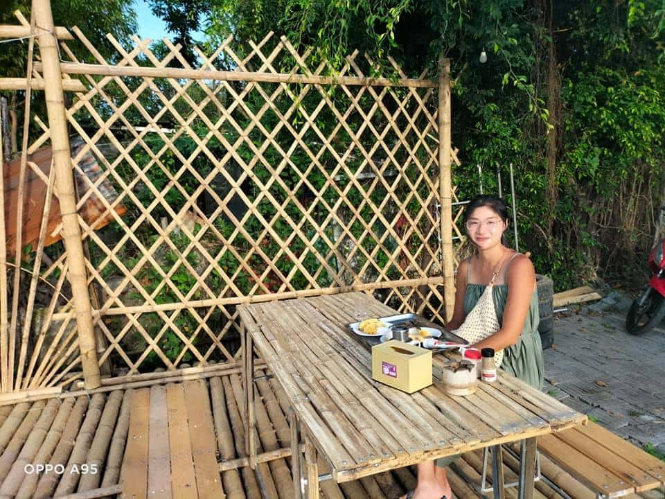 justfly phong family tam coc rice fields homestay ninh binh