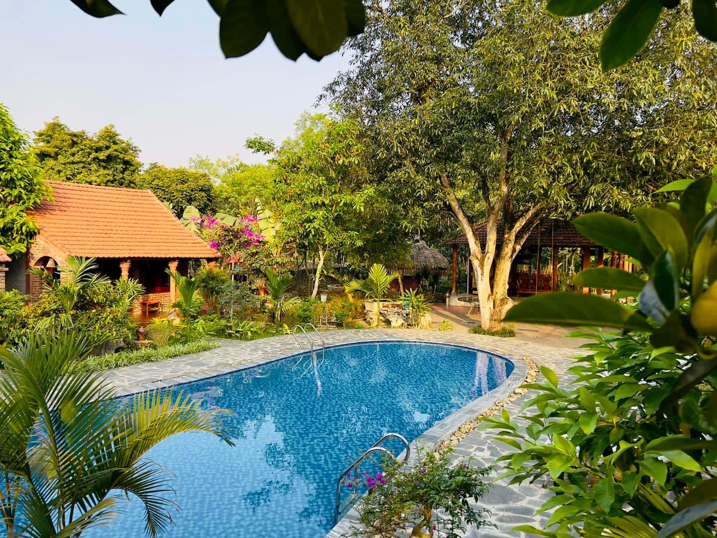 justfly ninh binh family homestay ninh binh