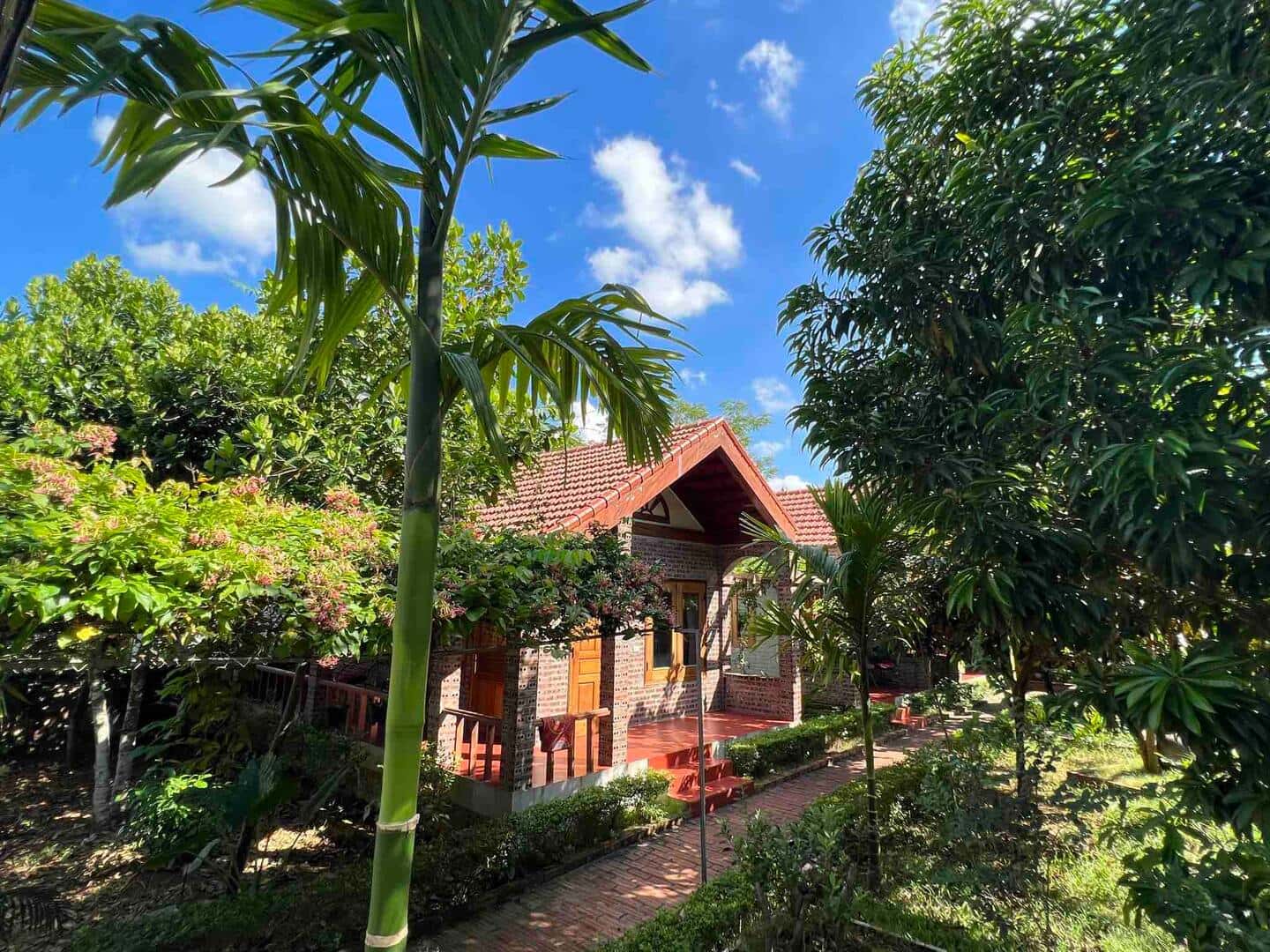 justfly ninh binh family homestay ninh binh