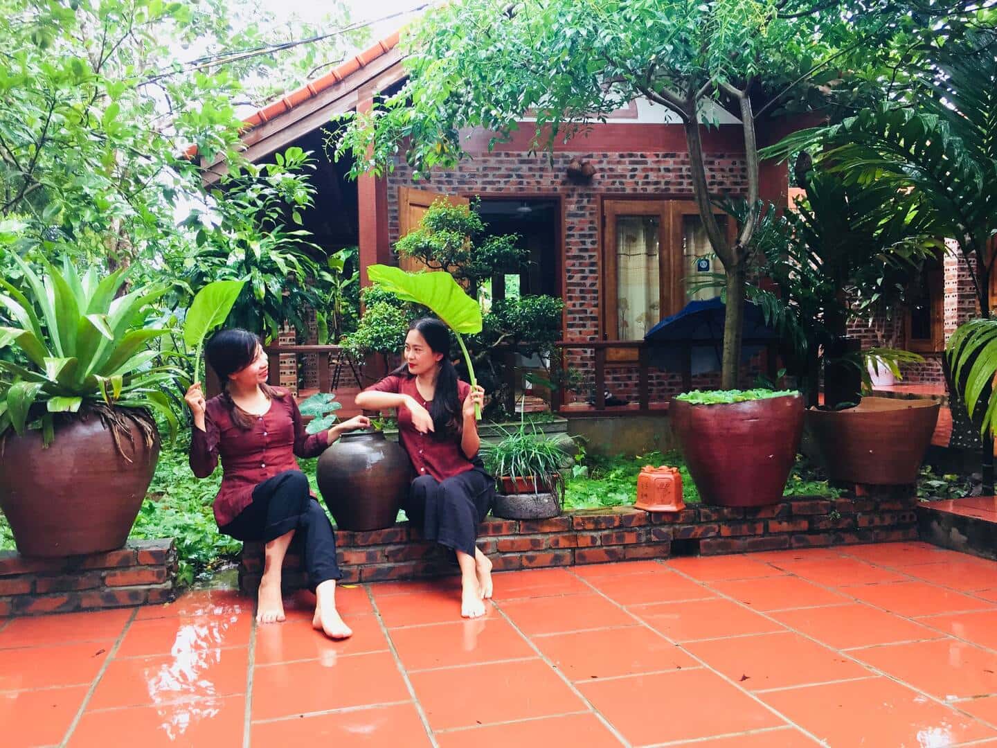 justfly ninh binh family homestay ninh binh