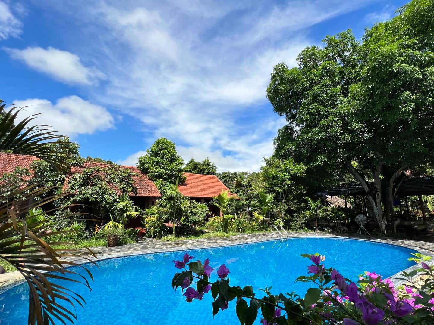 justfly ninh binh family homestay ninh binh