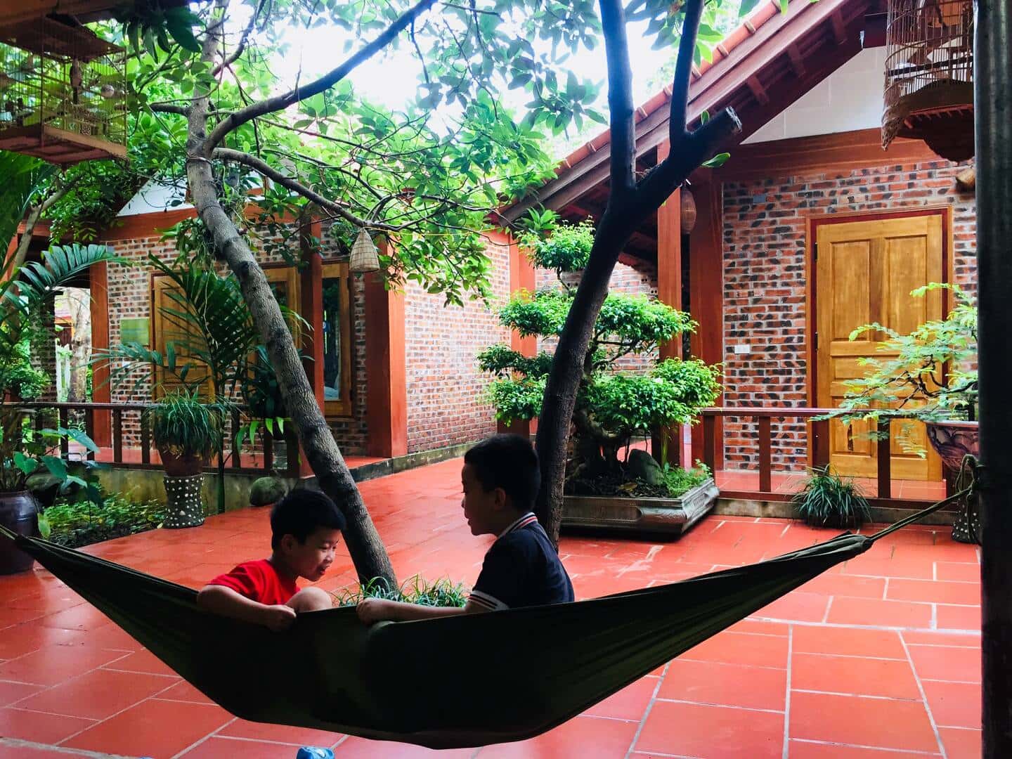 justfly ninh binh family homestay ninh binh
