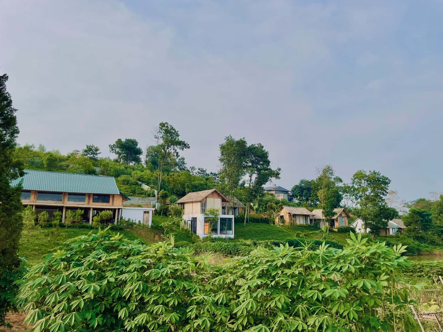 justfly anh khu  mura retreat ba vi