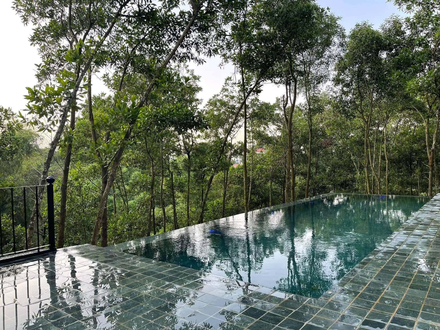 forest bungalow quin hill thach that ha noi