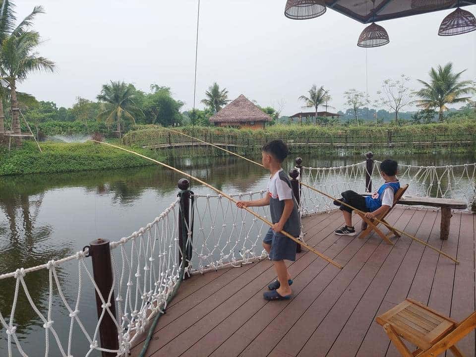 jacaranda lang trong thung ba vi