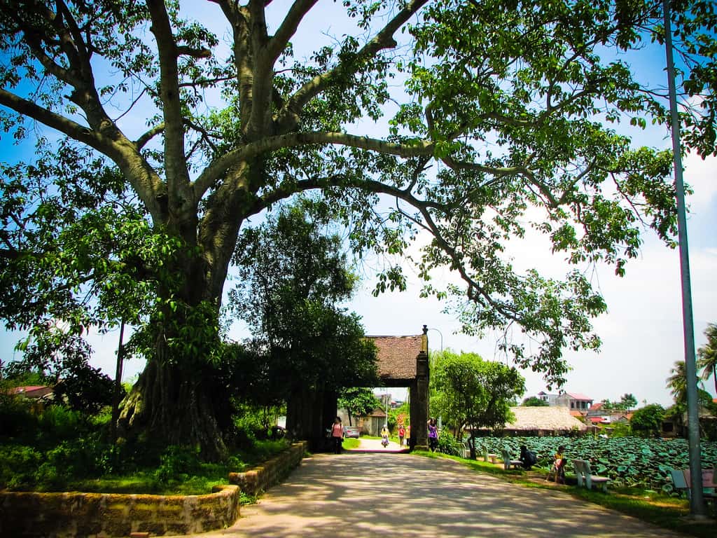 lang co duong lam son tay dia diem du lich ha noi atthan82