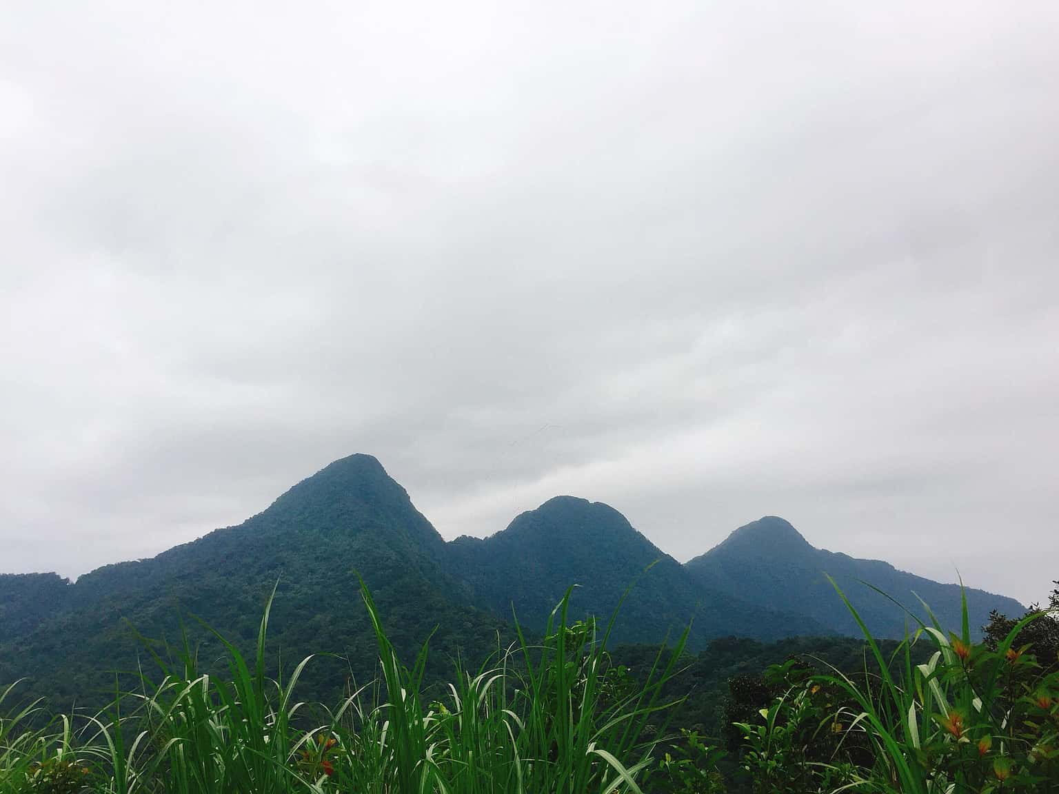 dinh rung rinh tam dao dia diem du lich vinh phuc attvip14