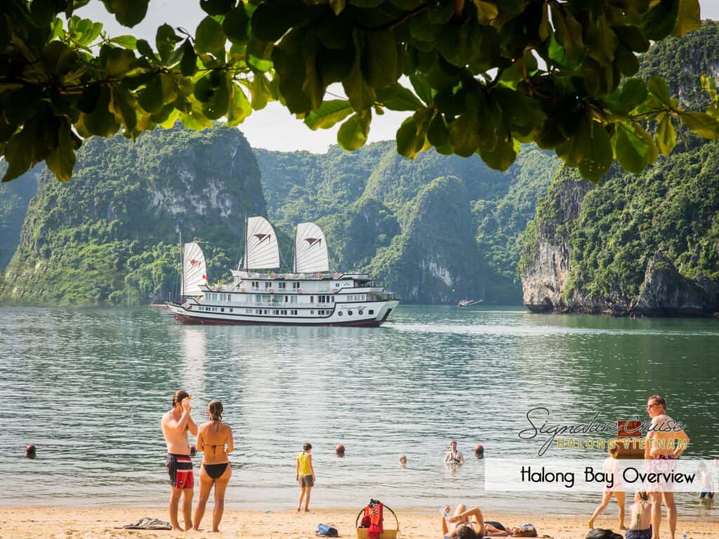singnature cruise 12 cabins cruise ha-long bay