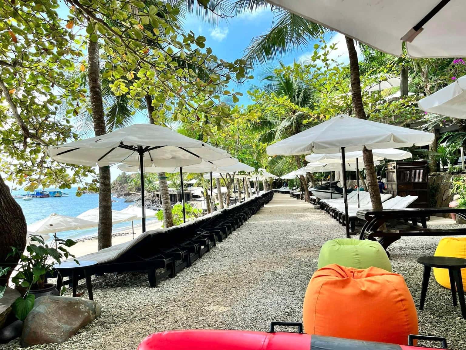 bai tranh nha trang 