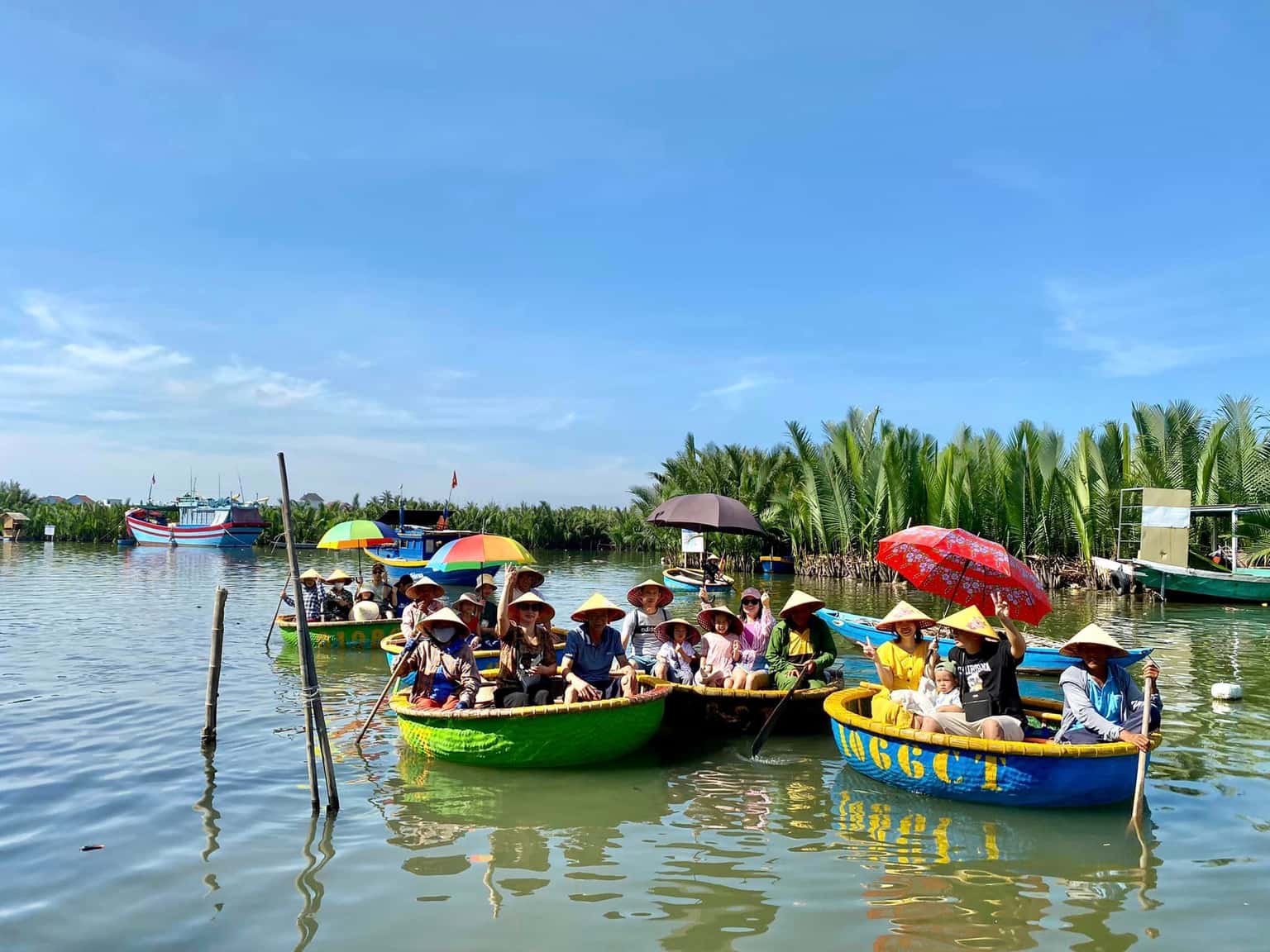 rung dua bay mau hoi an