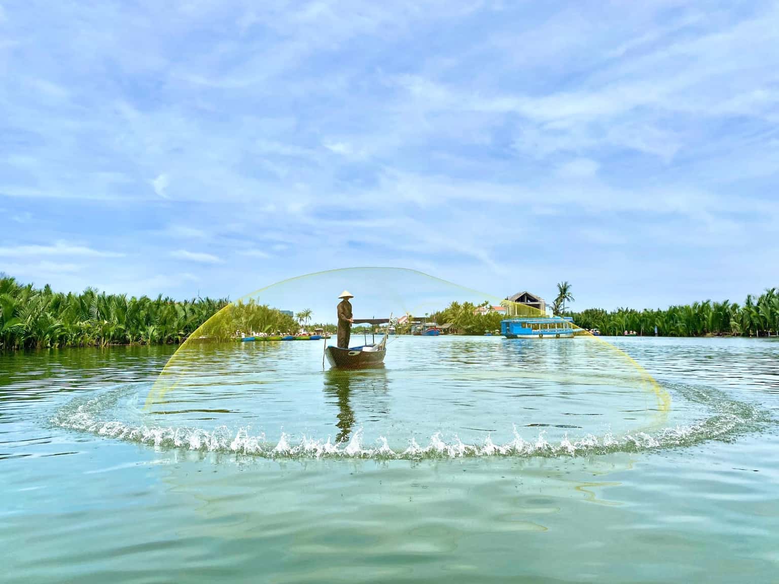 rung dua bay mau hoi an