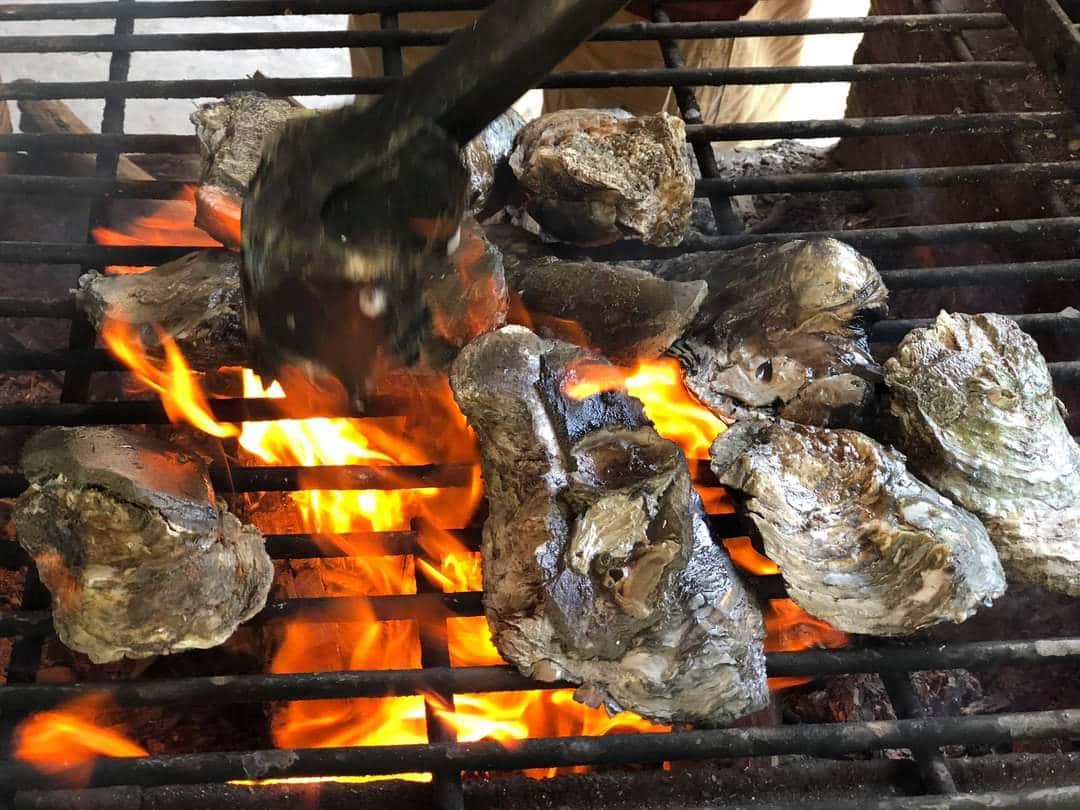 Đảo Gò Găng, Vũng Tàu — ảnh 27