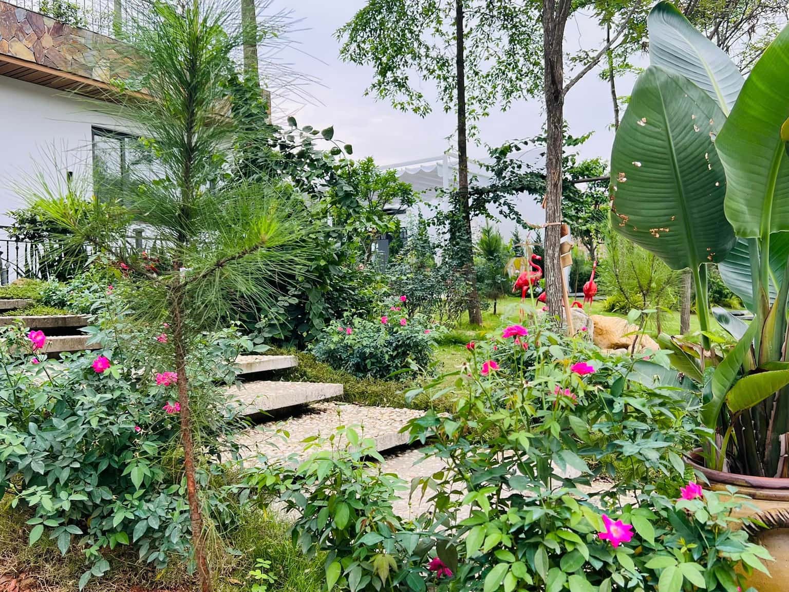 Thông Reo Garden Villa HA14, Venus Đại Lải — ảnh 12