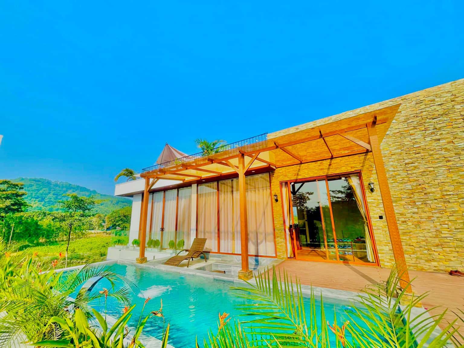 Ghế bể bơi 