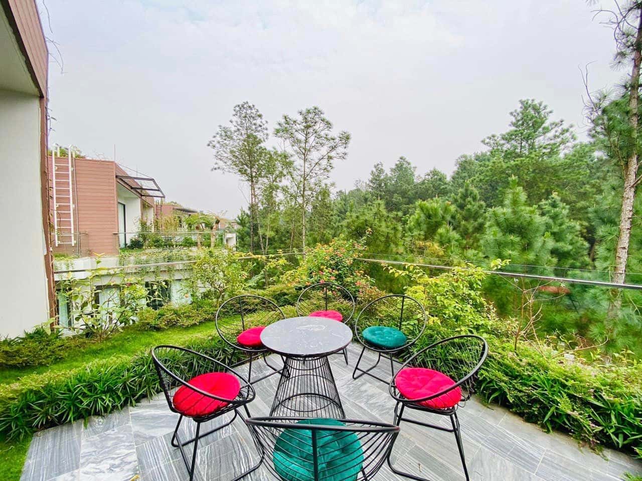 Rooftop with pine forest view