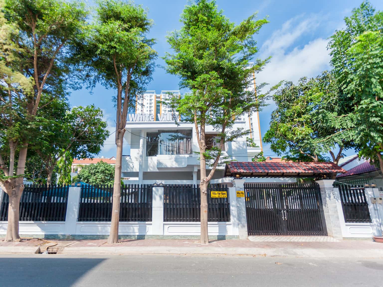 8 bau sen 3 vung tau
