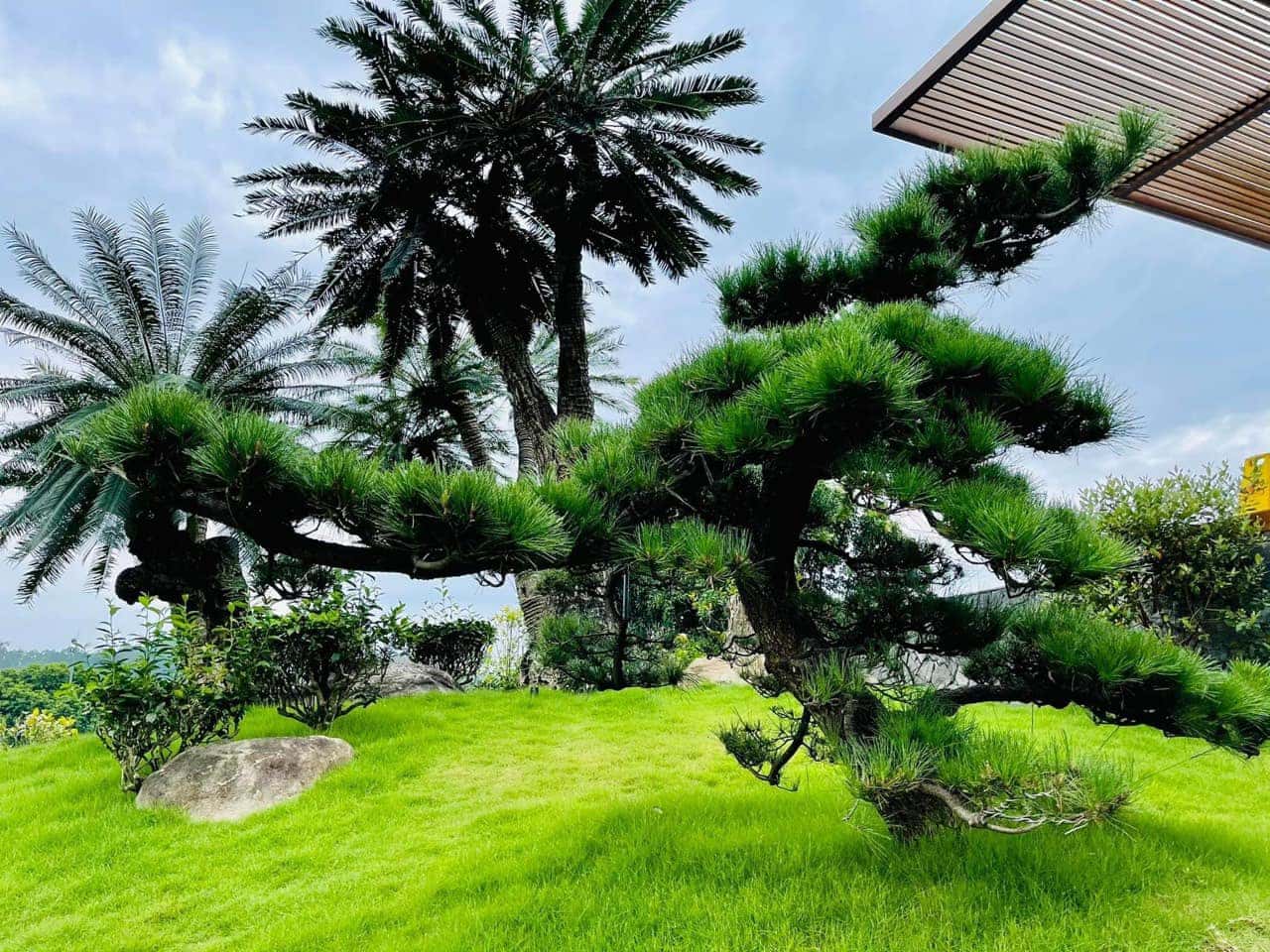 Villa C13 tại Sân Golf Tam Đảo, Vĩnh Phúc — ảnh 8