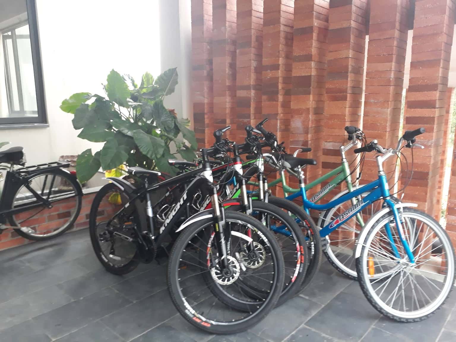 Xe đạp 