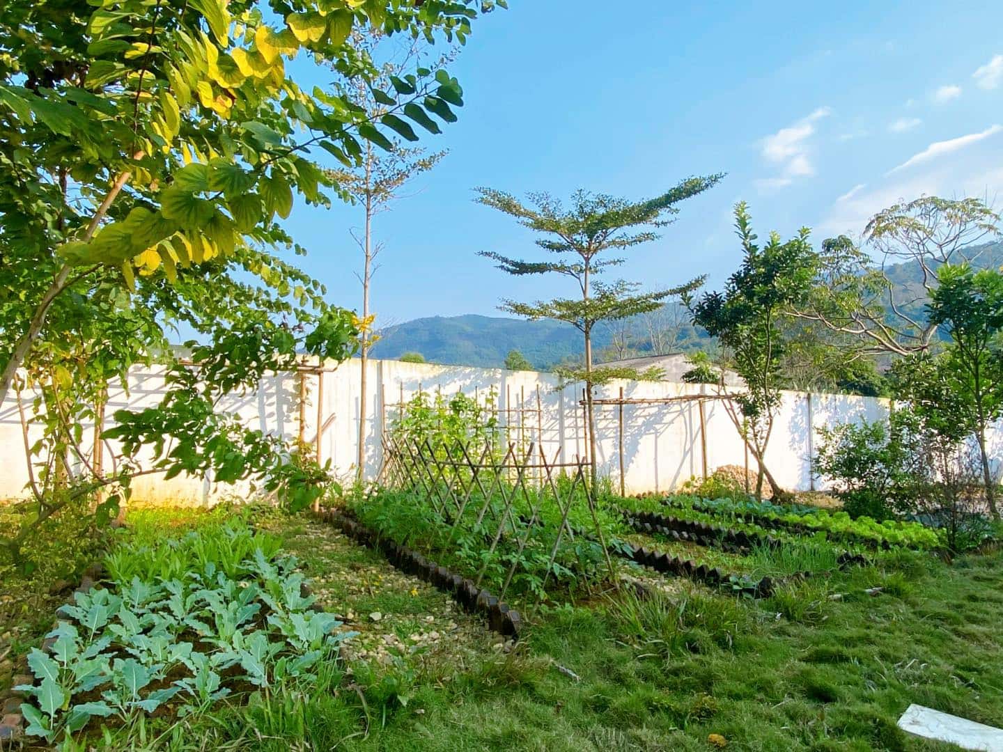 Hollymount Villa, Hoà Bình — ảnh 13