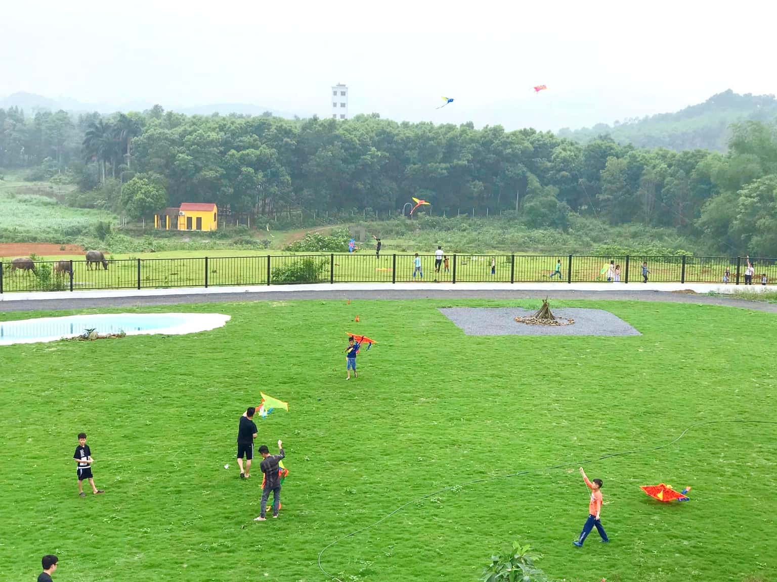 justfly hollymount villa hoa binh