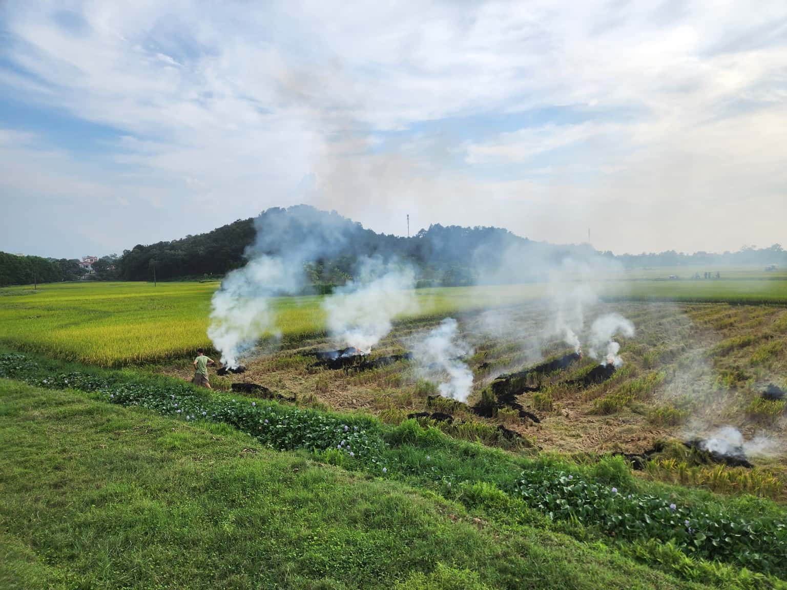Núi Đôi Sóc Sơn — photo 7