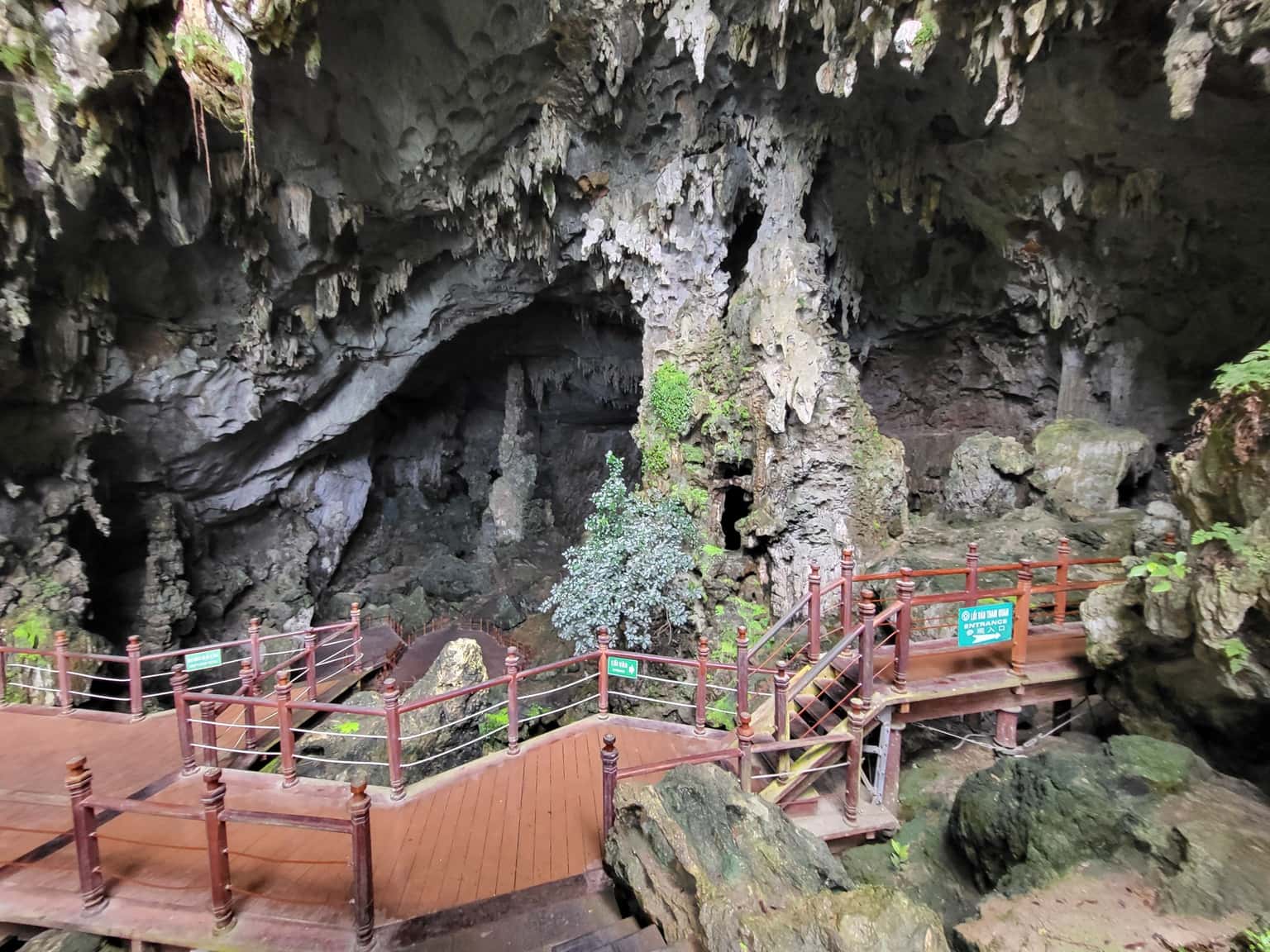 Động Thiên Cung, Hạ Long — ảnh 4