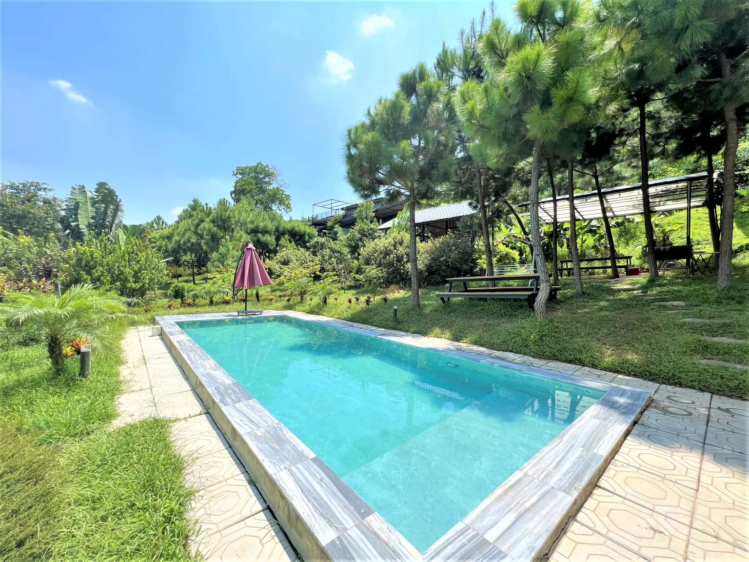 Bể bơi riêng 50m2 