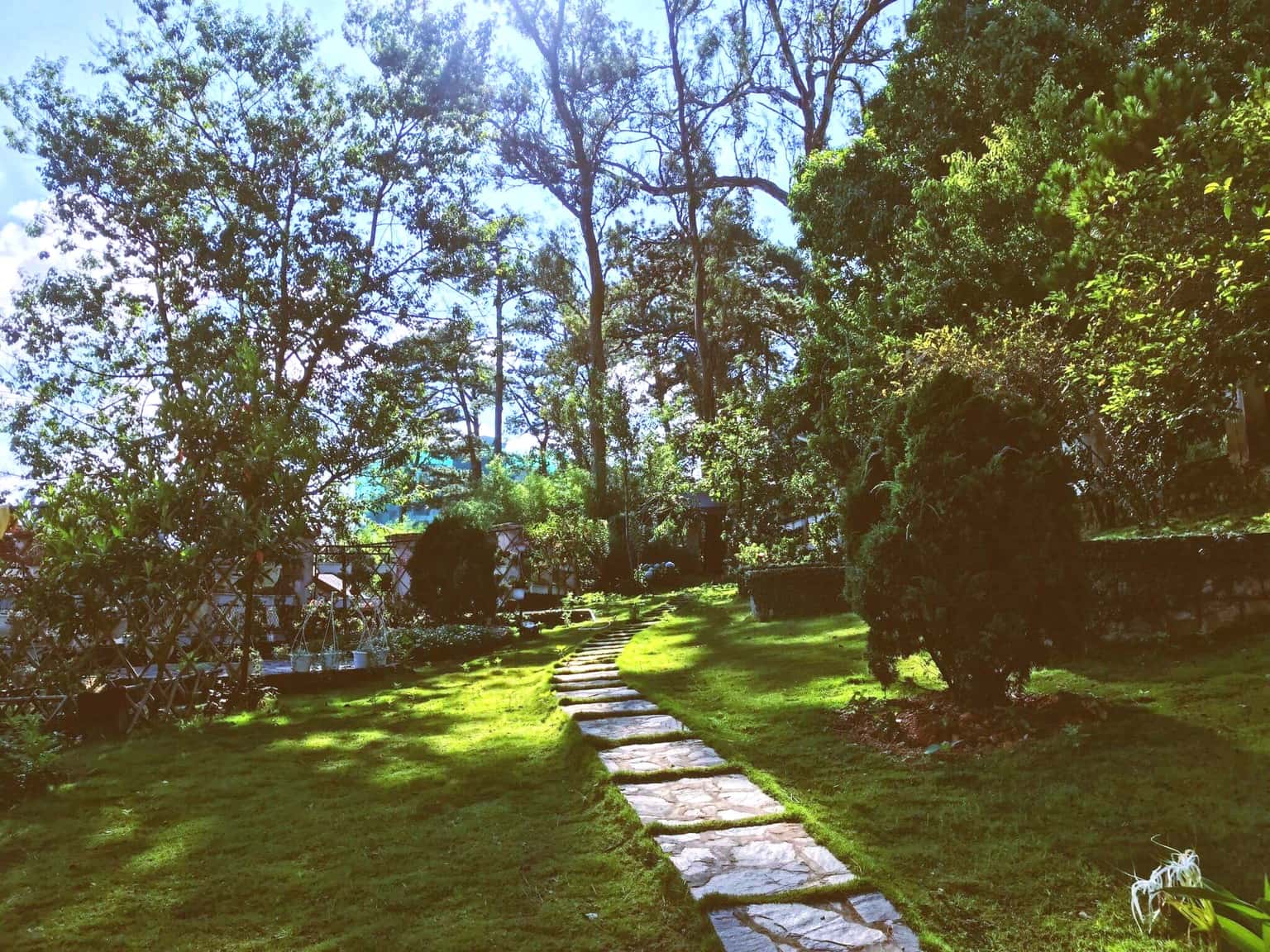 Tout Petit, Đà Lạt — ảnh 8
