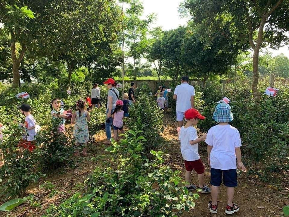 Nhà Sàn 3, Ba Vì () — ảnh 12
