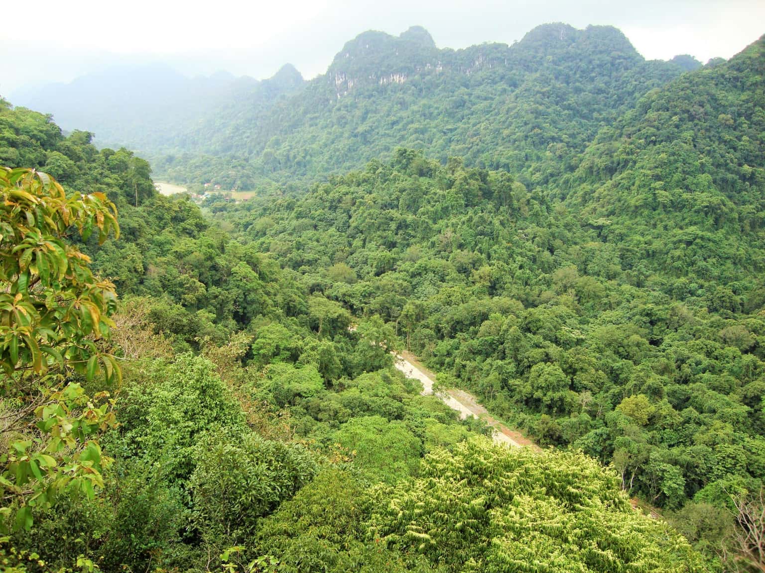 Vườn Quốc gia Cúc Phương, Ninh Bình — ảnh 10