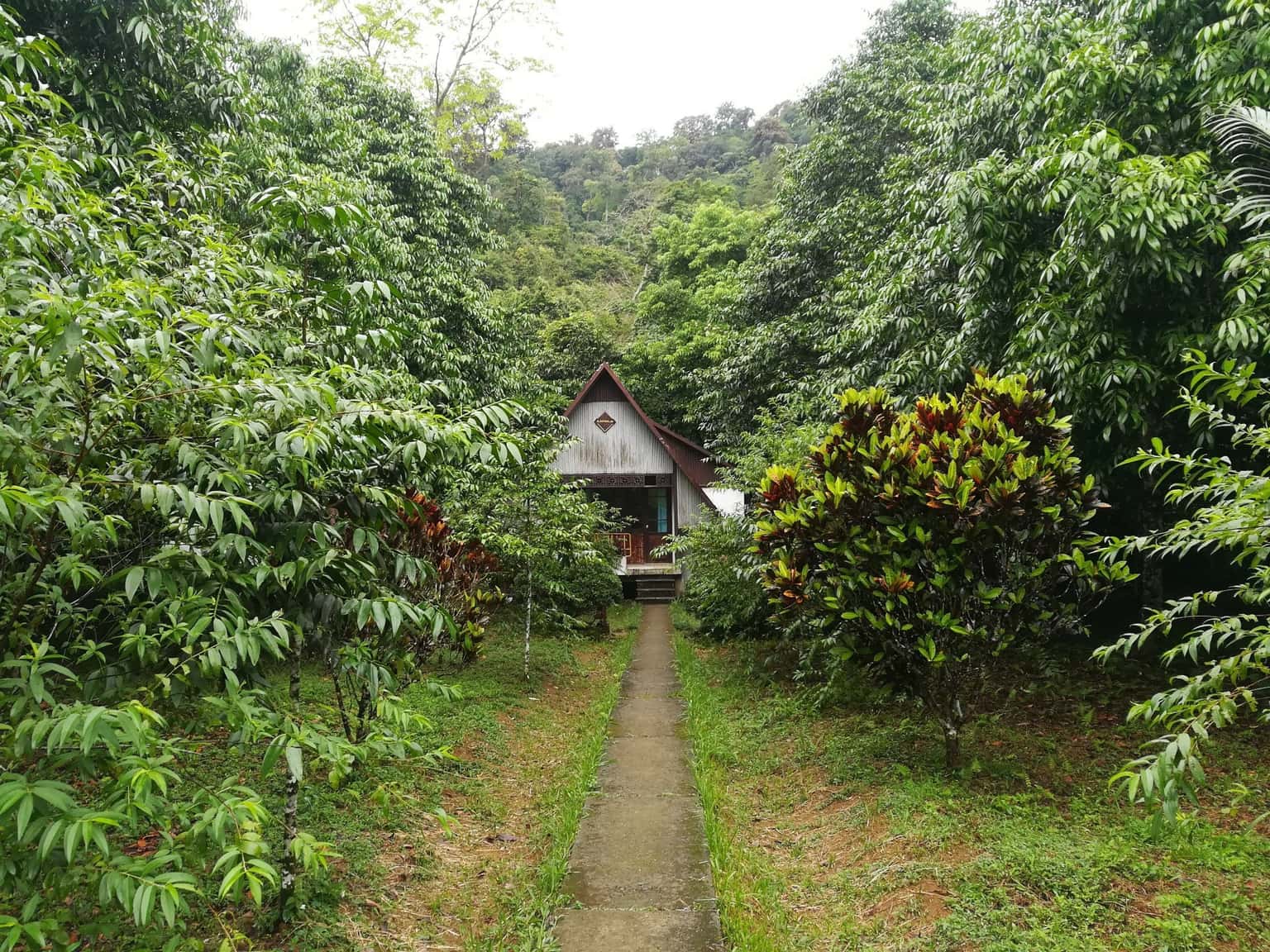 Vườn Quốc gia Cúc Phương, Ninh Bình — ảnh 27