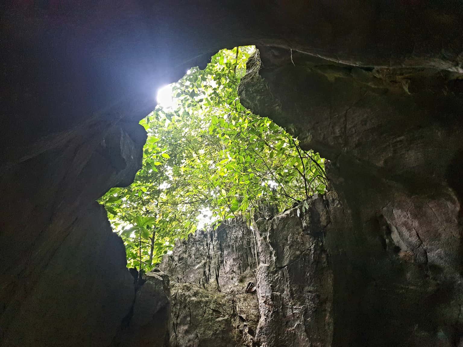 Vườn Quốc gia Cúc Phương, Ninh Bình — ảnh 26