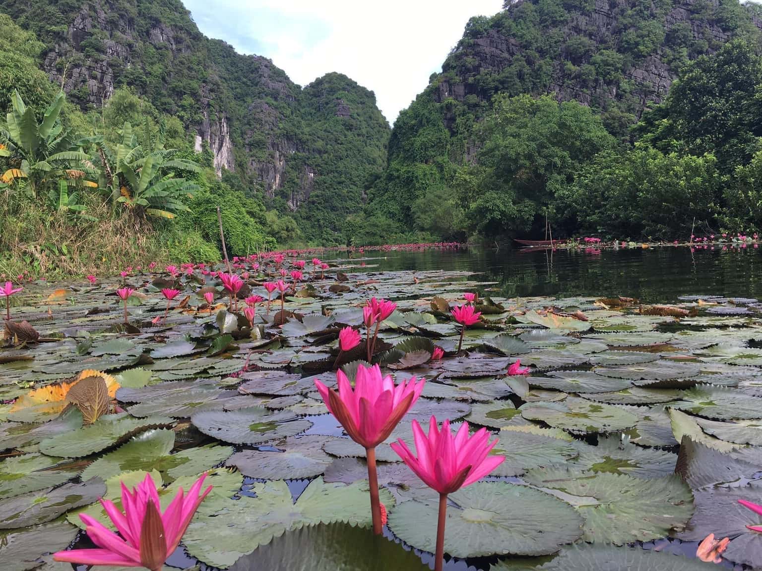 Thung Nắng, Ninh Bình — ảnh 12