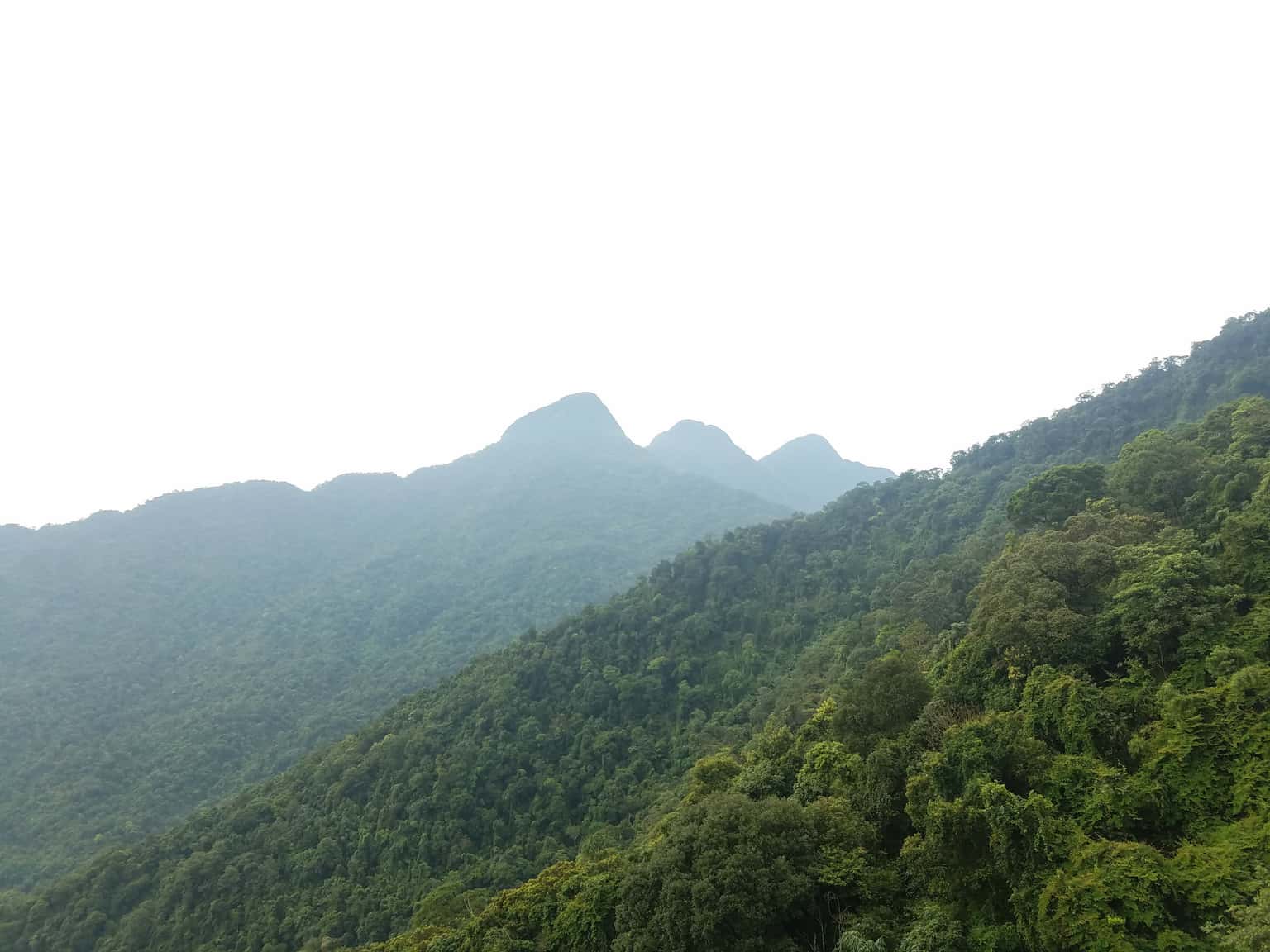 dinh rung rinh tam dao vinh phuc