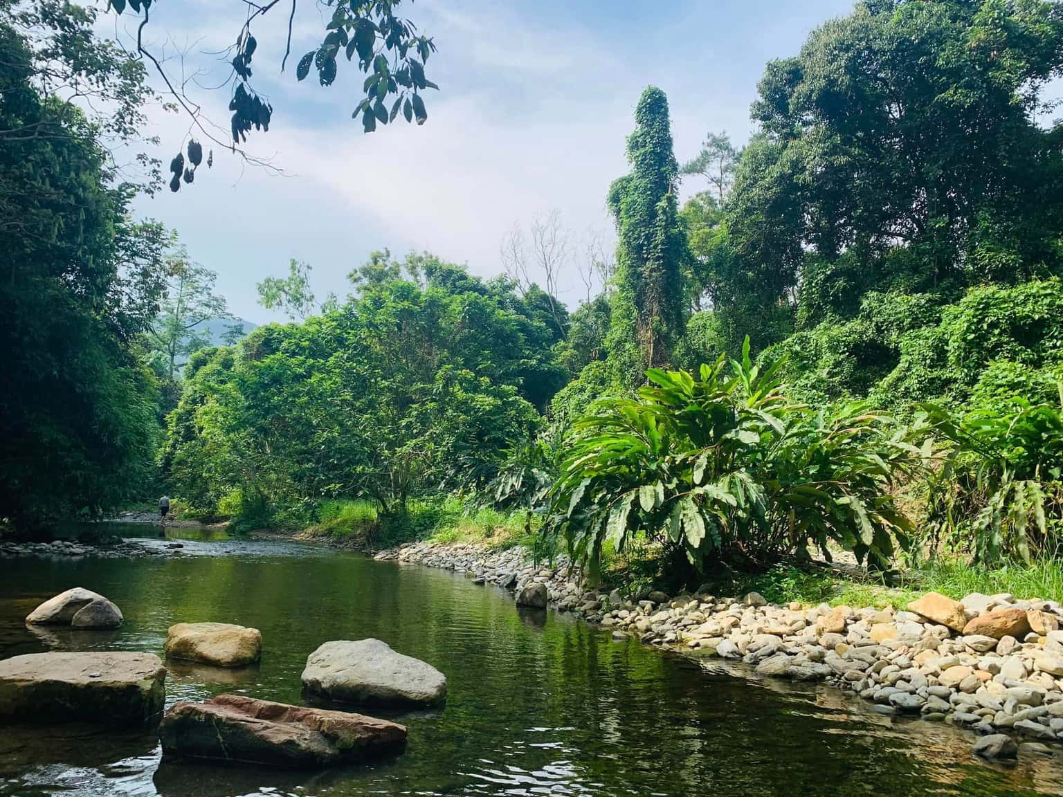 vuon quoc gia tam dao vinh phuc