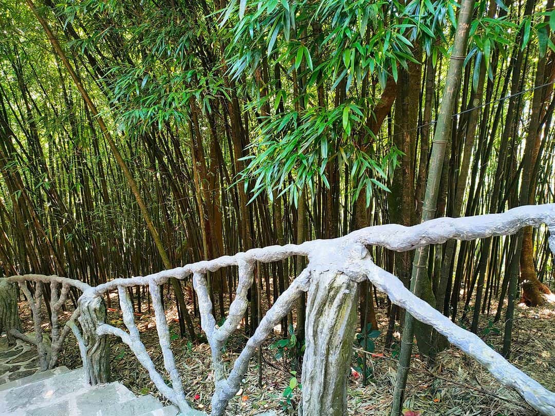 den ba chua thuong ngan tam dao vinh phuc 