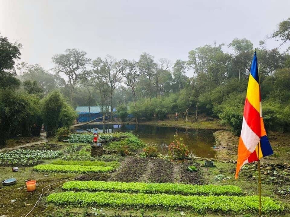 chua dia nguc tam dao vinh phuc