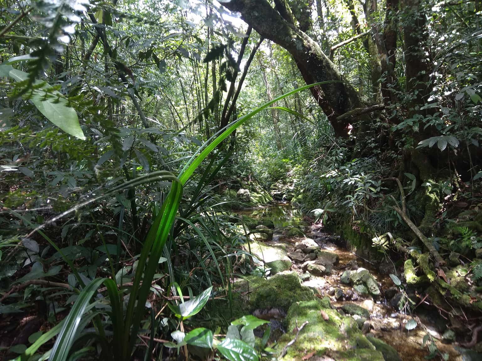 chua dia nguc tam dao vinh phuc